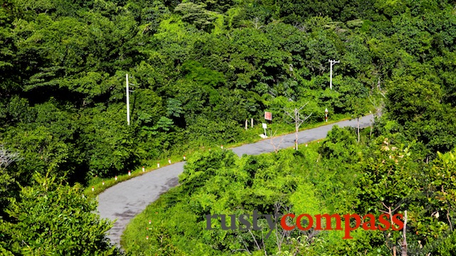 The forest, Con Son Island