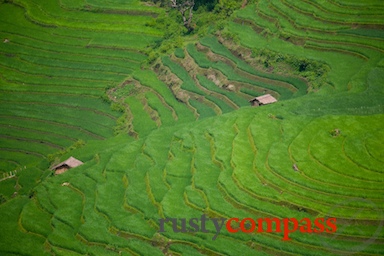 images/rustycompass/VIETNAM/SAPA0711/SAPAINTRO0711/sapa-intro-4x3-0711-1.jpg Lao Cai to Sapa via Mong Hum,Vietnam