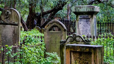 Camperdown Cemetery - a wander in Sydney's atmospheric old burial ...